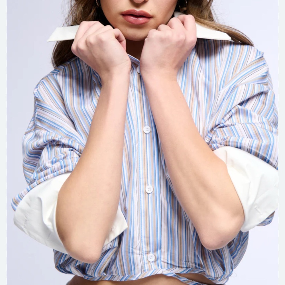 NWT Striped Blue cropped button down Top